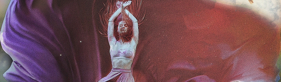 rückfhrungen frankfurt main